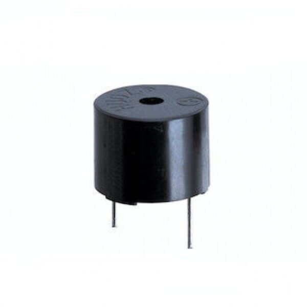 بازر 5 ولت BUZZER 5V